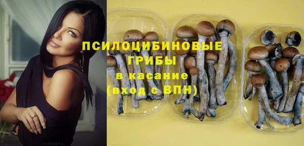 стафф Вязники